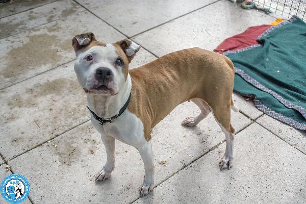 Molly, una casa per gli anni più preziosi Foto 4